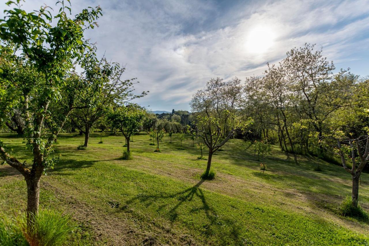 Podere Sant'Antonio Fauglia エクステリア 写真