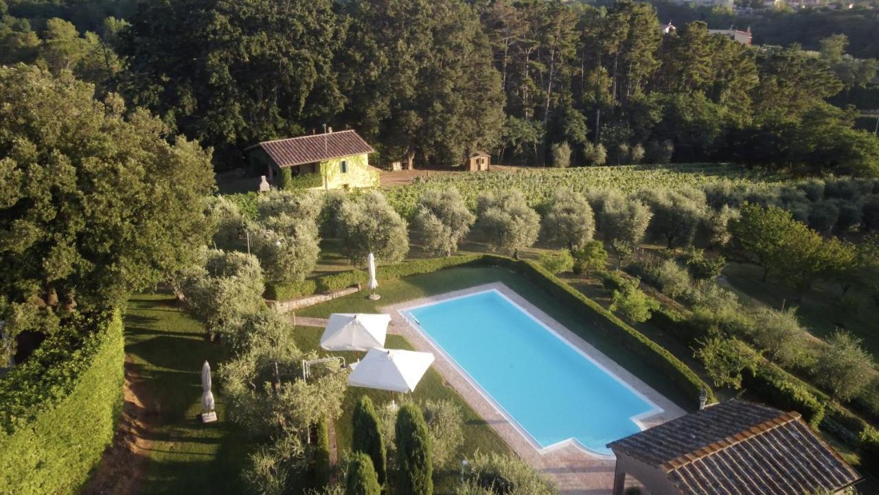 Podere Sant'Antonio Fauglia エクステリア 写真