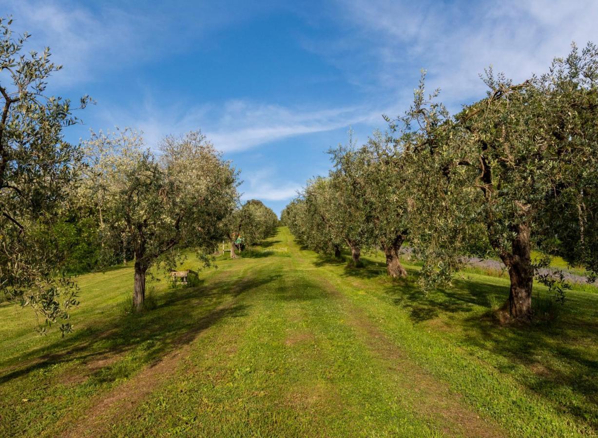 Podere Sant'Antonio Fauglia エクステリア 写真