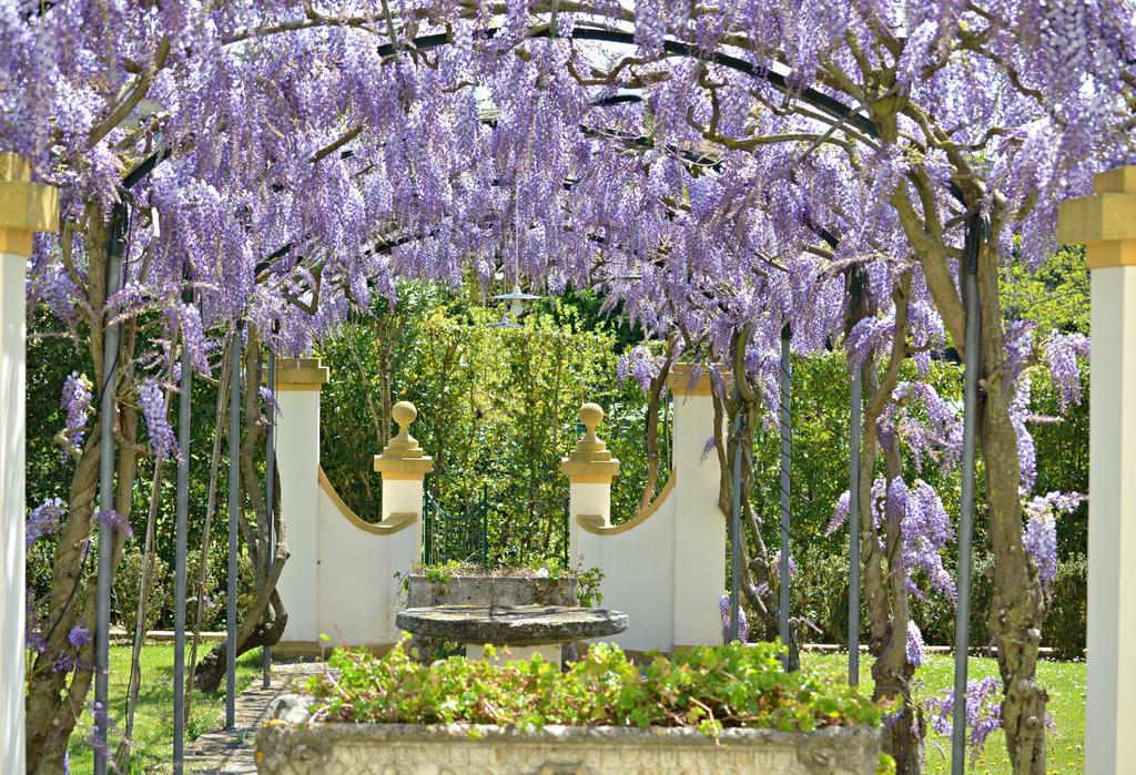 Podere Sant'Antonio Fauglia エクステリア 写真