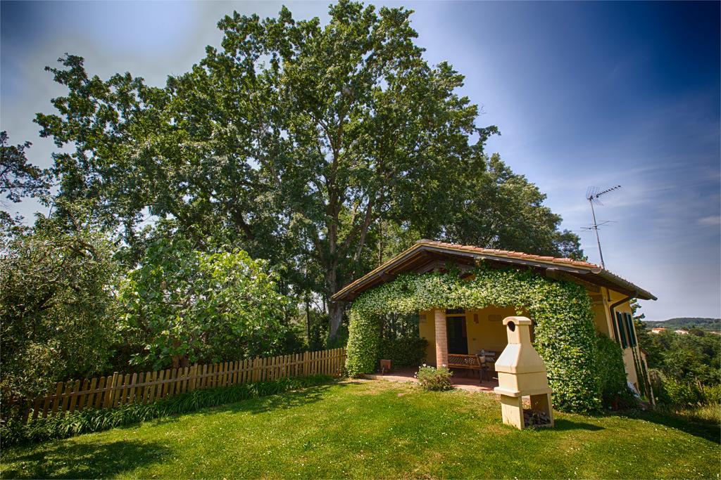 Podere Sant'Antonio Fauglia エクステリア 写真