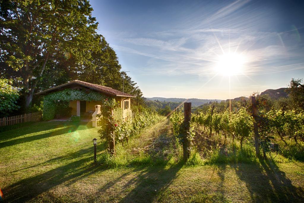 Podere Sant'Antonio Fauglia エクステリア 写真